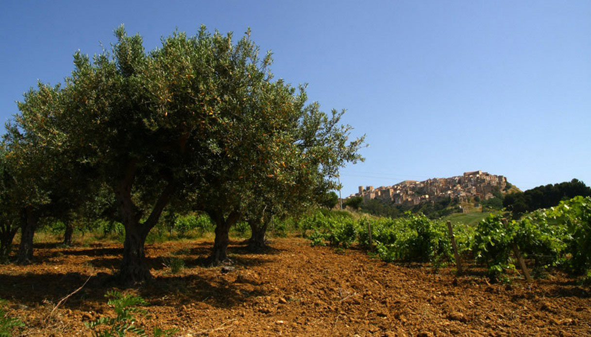 Vista di Salemi
