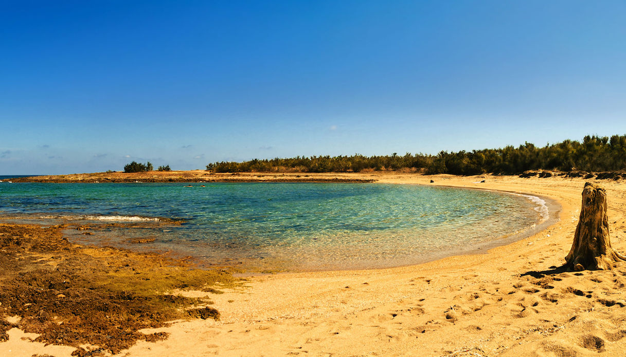 Torre Guaceto