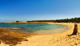 Tra le migliori oasi al mondo vi è l’italiana Torre Guaceto