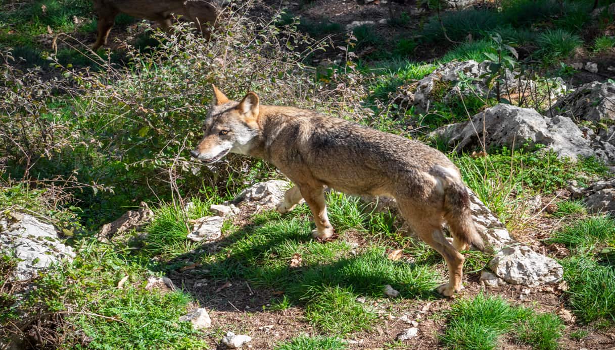 Civitella Alfedena