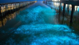 Questa baia brilla di notte. Ed è un vero spettacolo