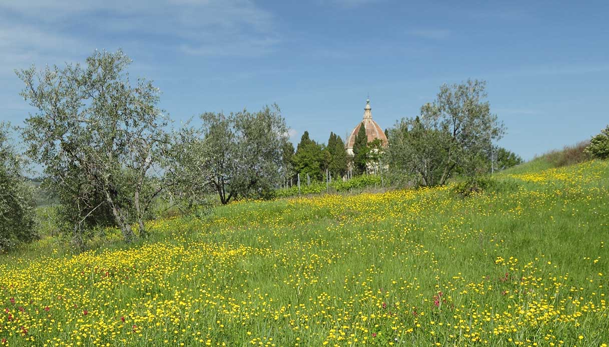 Semifonte: la città distrutta per sempre che ospita la mini cupola di Firenze