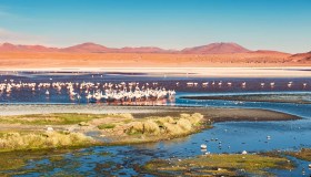 Queste fotografie ti faranno innamorare della Laguna Colorada