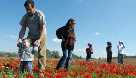 Il deserto che fiorisce una volta all’anno è uno spettacolo