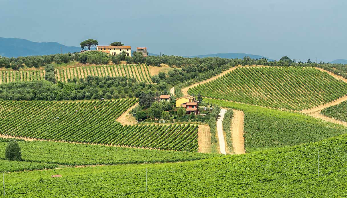 montalbano-colline-strada-vino-olio