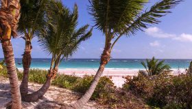 Alle Bahamas c’è una spiaggia rosa che in pochi conoscono