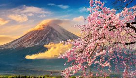 Giro del mondo con le webcam: i siti per connettersi in diretta con i 4 angoli del pianeta