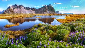 Gli elfi d’Islanda esistono davvero?