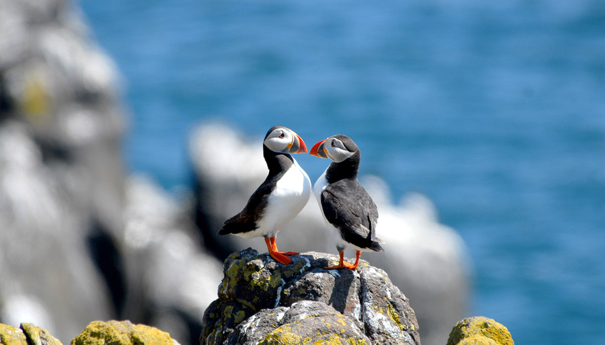 Lundy Island