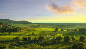 Come viaggiare a casa, aprendo i cassetti e usando la fantasia