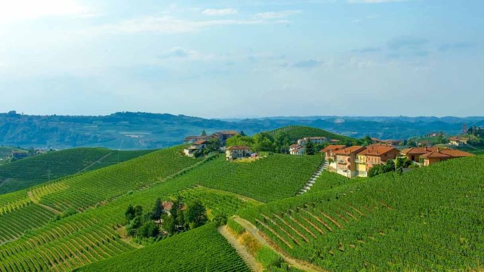 Sulle colline del Nizza piemontese tra borghi e vigneti