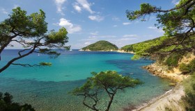 Dove avvistare i delfini che nuotano in libertà in Italia