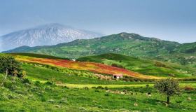 I monti Nebrodi, alla scoperta delle bellezze della natura siciliana