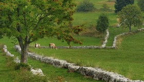 Case gratis in Trentino. In cambio solo atti di volontariato