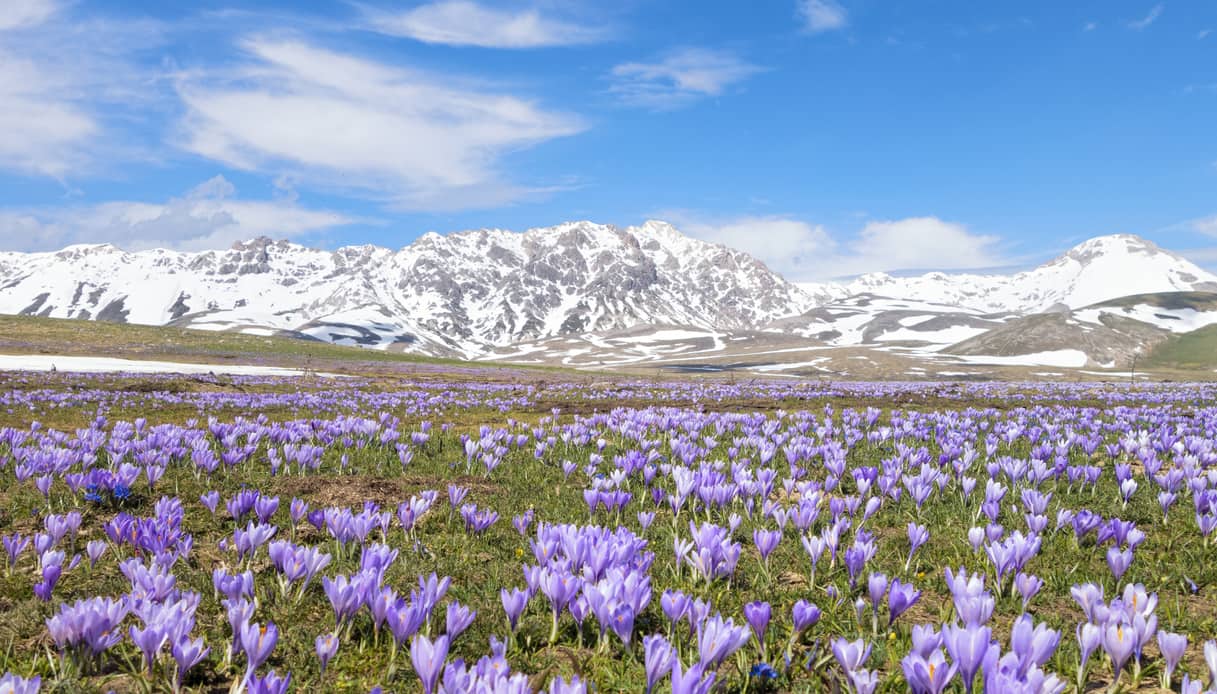 Parco nazionale del Gran Sasso e Monti della Laga, l’Abruzzo che incanta