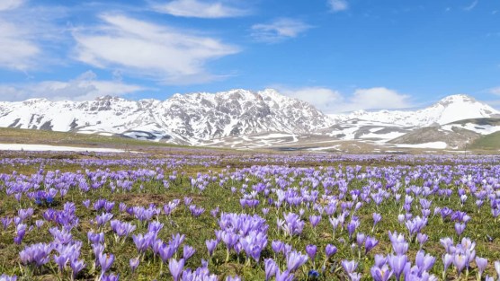 Parco nazionale del Gran Sasso e Monti della Laga, l’Abruzzo che incanta
