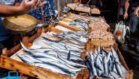 Perché il mercato del pesce di Catania è uno dei luoghi più “cool” della Sicilia