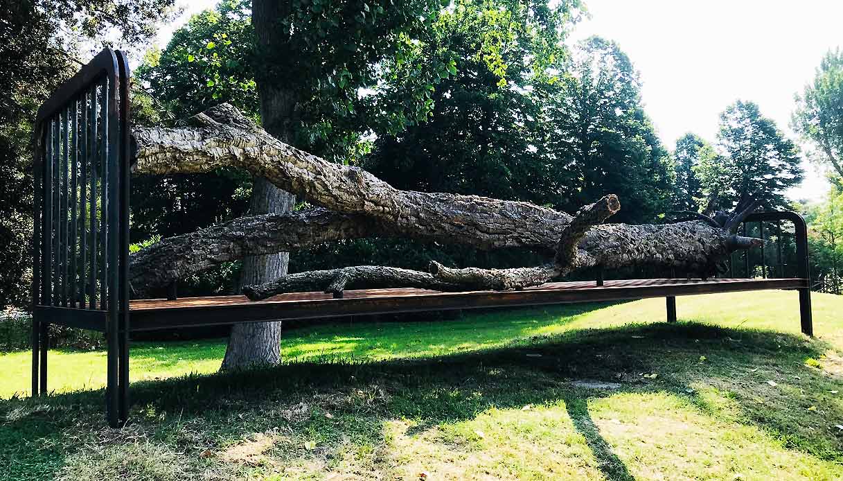 albarella-mostra-evoluzioni-installazioni-Attesa