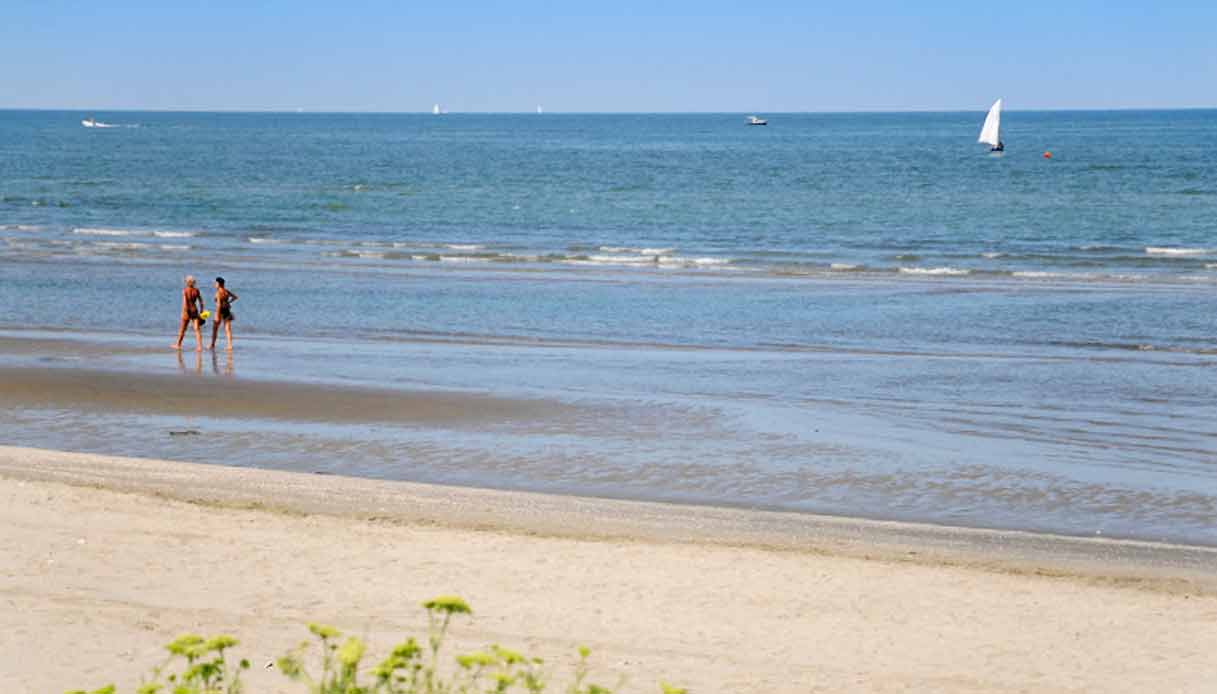 albarella-spiaggia