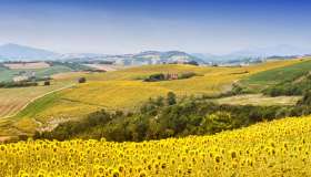 Tutti i luoghi da visitare nelle Marche