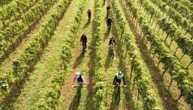 Settembre tra i vigneti della Franciacorta: l’itinerario e gli eventi