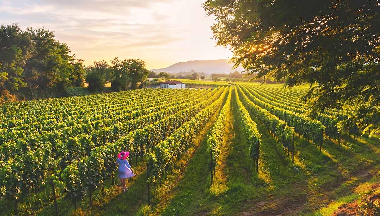 Franciacorta-itinerario-autunno