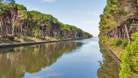 San Rossore, il parco delle favole a due passi da Pisa