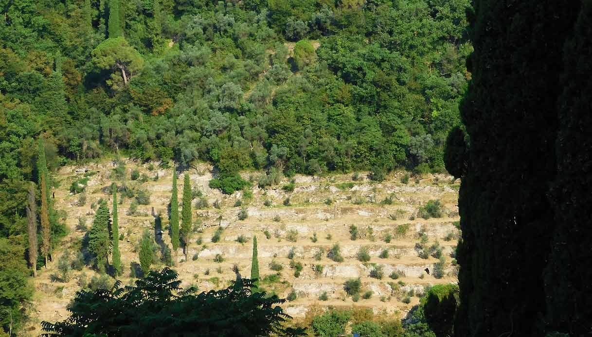 chignero-liguria