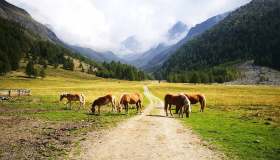 Val di Fosse, questo angolo di Alto Adige è un incanto