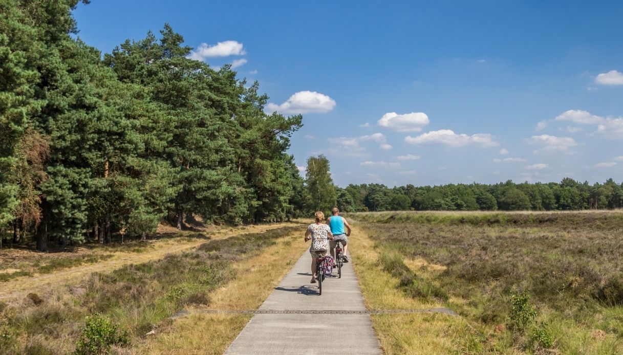 In bici, dalle saline di Cervia ai mosaici di Ravenna