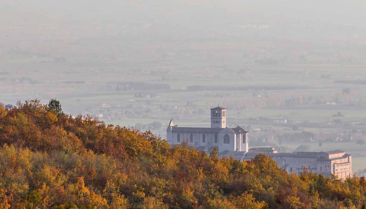 assisi-bosco-san-francesco