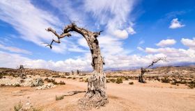 È l’unico deserto in Europa ed è spettacolare