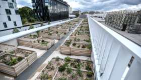 La più grande fattoria urbana in Europa ha la vista sulla Torre Eiffel
