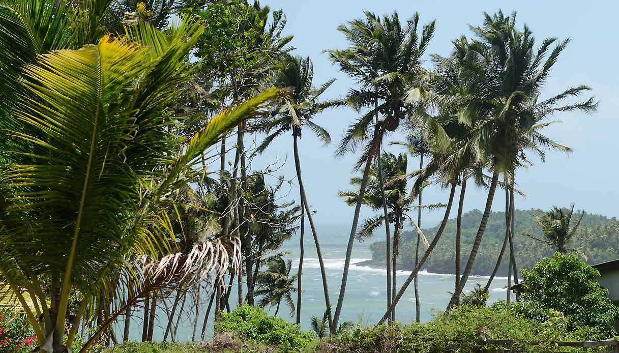 isola-diavolo-guyana-francese-location-papillon