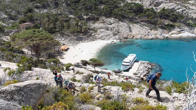 Montecristo, l’isola da vedere almeno una volta nella vita