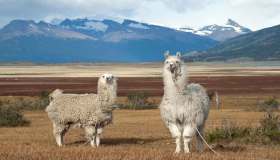 Patagonia Argentina: le tappe che non possono mancare