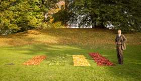Cosa fanno in Svizzera quando finisce il foliage in autunno