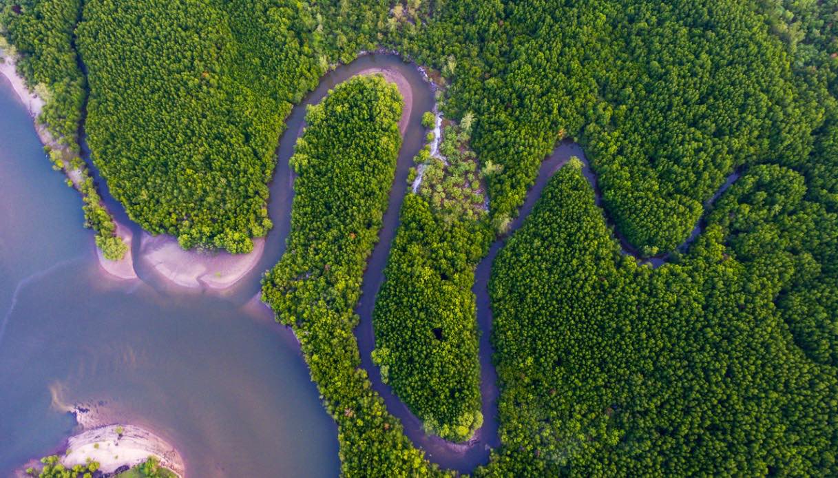 isola del borneo