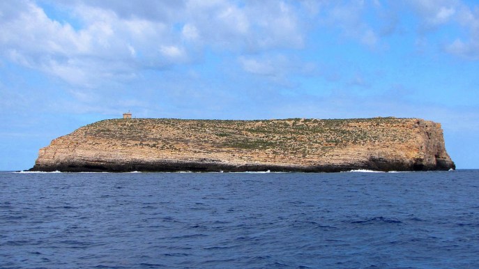 Lampione, l’isola italiana popolata dagli squali