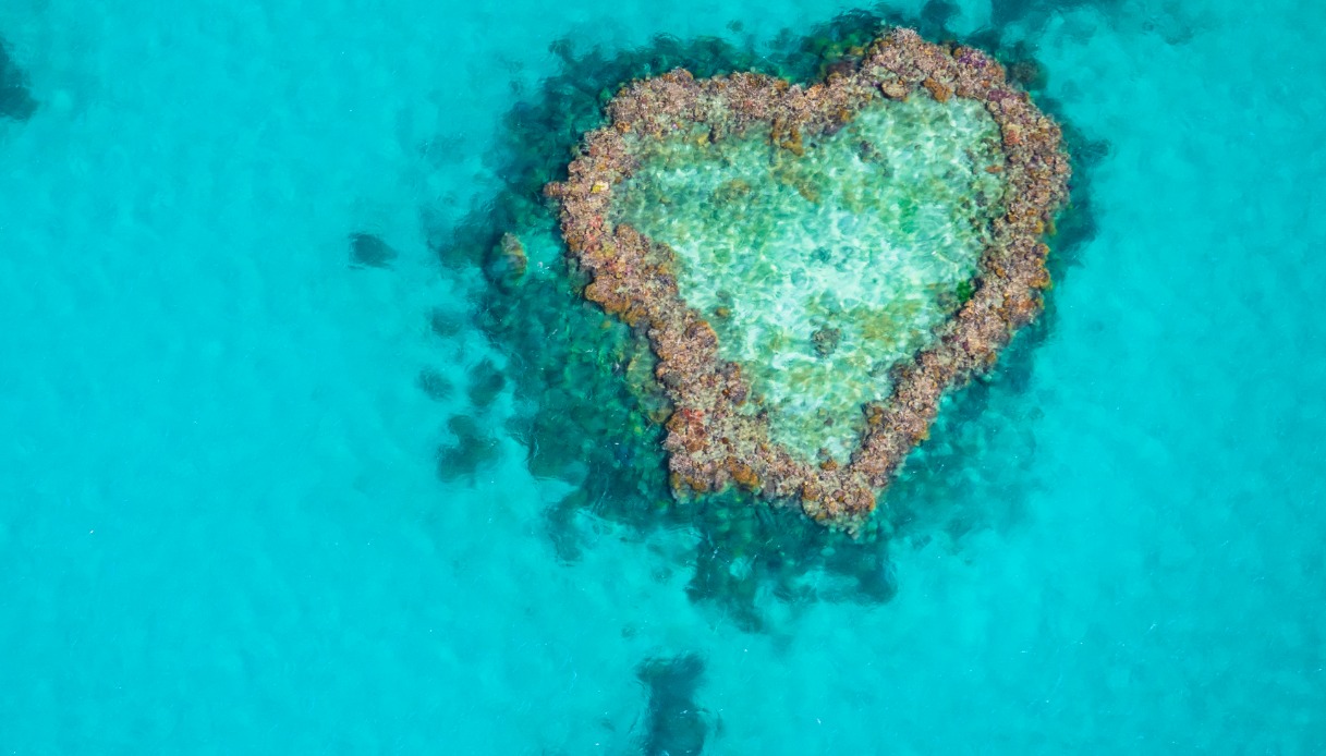 heart reef
