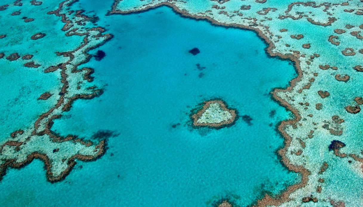 Heart reef