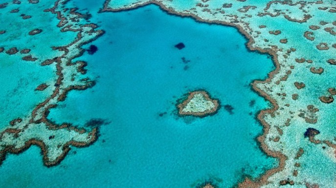 Come in una favola: la barriera corallina a forma di cuore