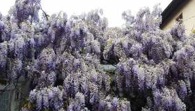 A Milano c’è un angolo di periferia tanto amato da Leonardo