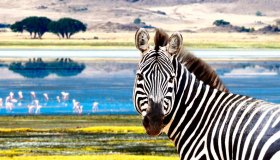 Giornata della Terra,10 meravigliose cartoline da un pianeta da salvare