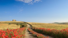 Le migliori destinazioni per una vacanza rurale da fare in estate, in Italia