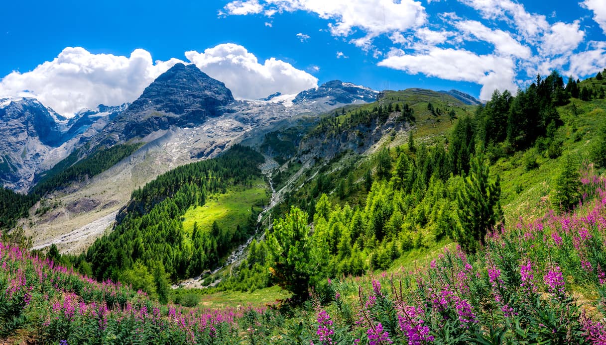 Stelvio