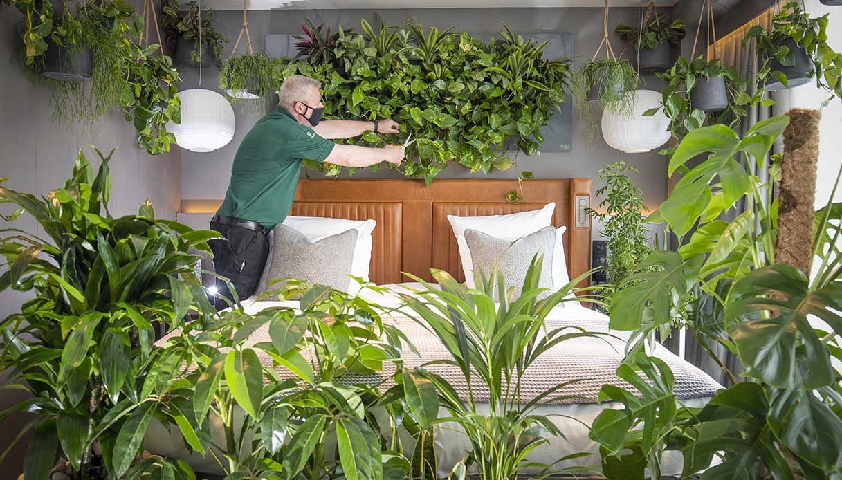 Forest bathing di lusso: si fa in questo hotel