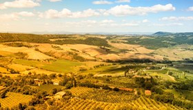 L’esperienza da “Mille e una notte” si fa in Italia, in vigna