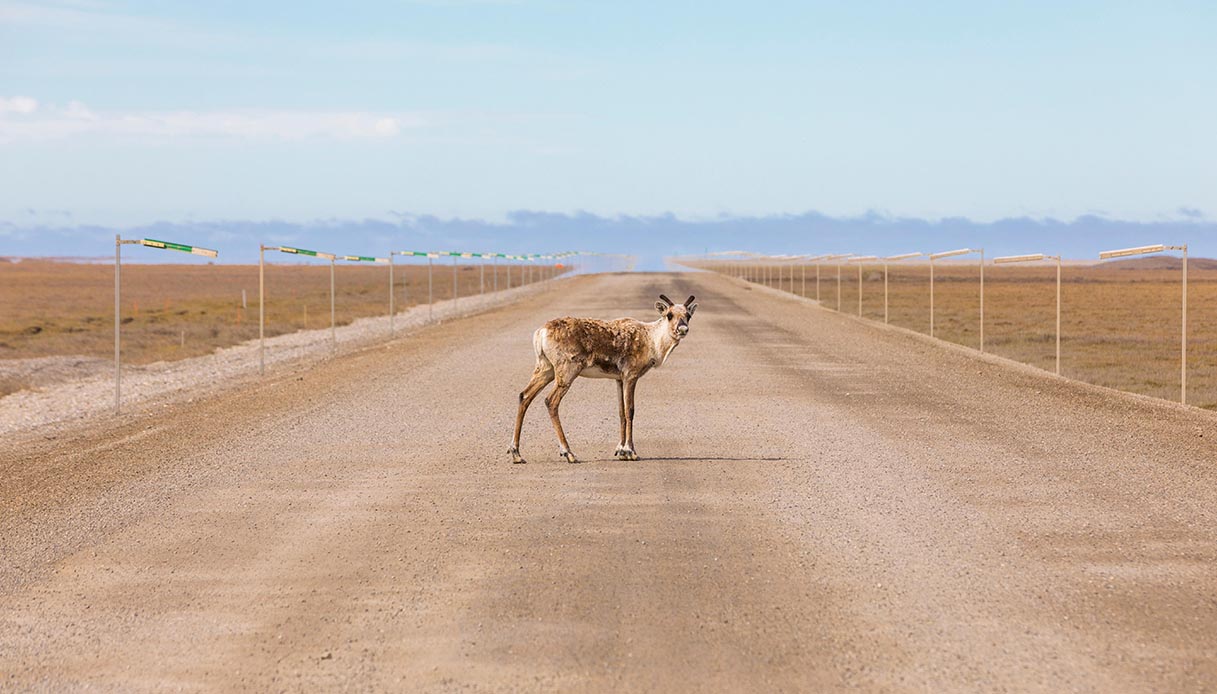 Dalton Highway Alaska