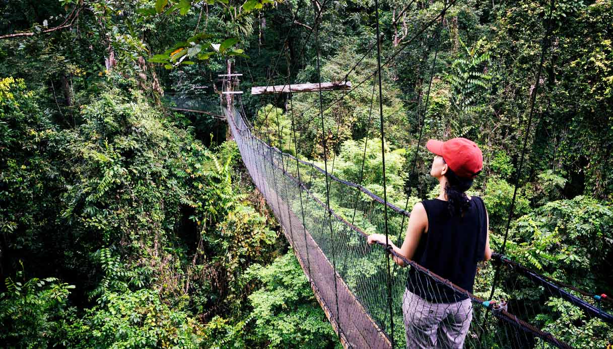 malesia-parco-Gunung-Mulu
